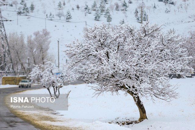 عجیب اما واقعی، برف در راه زنجان