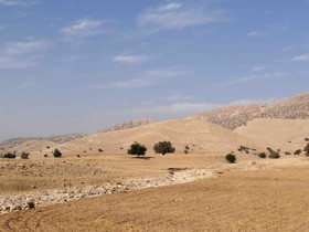 بخشی از استقرارگاه گشتاسپی نابود شد