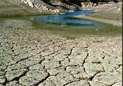 پایداری شرایط خشکسالی در دشت کاشان