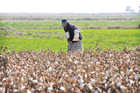 چه زمستان‌هایی که با «خرک انداختن» نگذشت