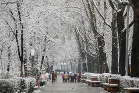 بارش برف در شمال تهران - پارک نیاوران