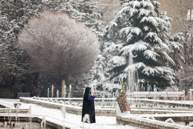 بارش برف در شمال تهران - پارک نیاوران