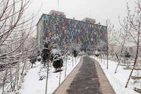 بارش برف در شمال تهران - دارآباد