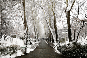 بارش برف در شمال تهران - پارک جمشیدیه