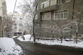 بارش برف در شمال تهران - نیاوران