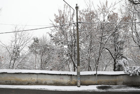 بارش برف در شمال تهران - نیاوران