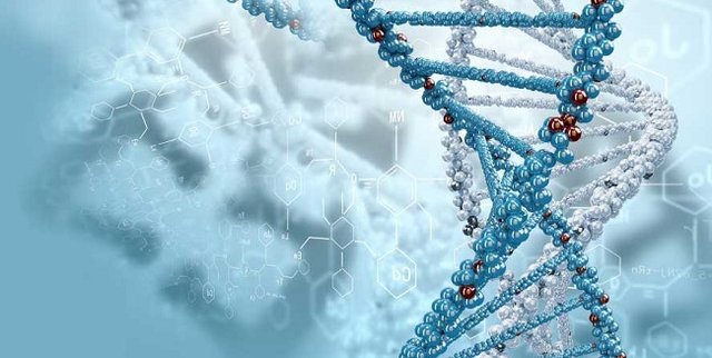کشف عوامل جدید ژنتیکی ابتلا به آلزایمر