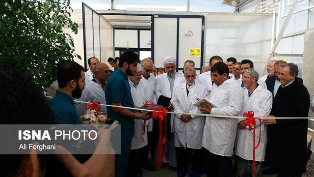 فاز نخست بزرگترین گلخانه هیدروپونیک کشور در زرندیه افتتاح شد