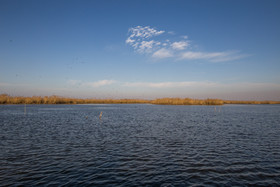 تالاب انزلی با مساحتی در حدود ۲۰ هزار هکتار در شمال ایران، در استان گیلان قرار دارد. این تالاب حکم تصفیه‌خانه را برای رودخانه‌هایی دارد که به دریای خزر می‌ریزند و با بیش از ۱۰۰ گونه پرنده ۵۰ گونه ماهی صدها گونه موجودات گیاهی اکوسیستم کم‌نظیری دارد.