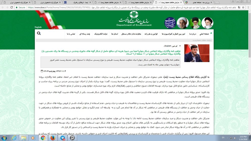 تیموری