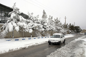 بارش برف - سمنان