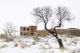 بارش برف - سمنان