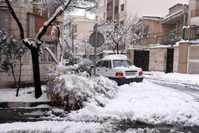 خسارت و شکسته شدن درختان در خیابانها و کوچه های شهر تهران 