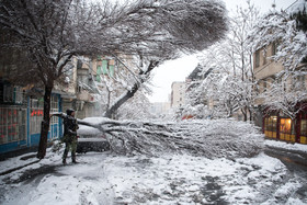 کمرشان زیر برف خم شد