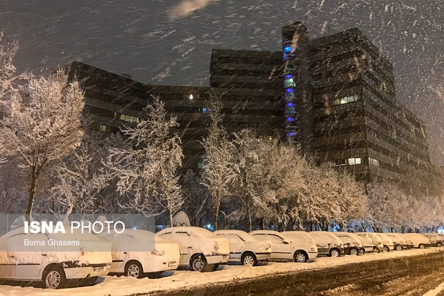 بارش برف تهران را سفید پوش کرد 