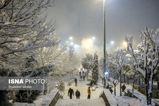 ۱۰۰ عملیات آتش‌نشانی به دنبال بارش برف تهران/ وقوع ۶۰ حادثه شکستگی درخت از شب گذشته 