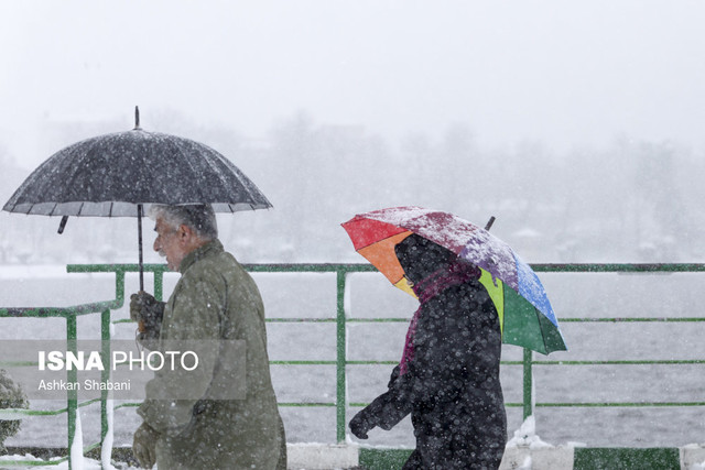 یک غافلگیری شیرین!