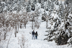 جشنواره مجسمه‌های برفی