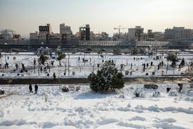 جشنواره مجسمه‌های برفی