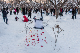 آدم برفی‌ها بسازید جایزه بگیرید