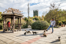 ابلاغ دستورالعمل جدید ایمنی برای پارک‌ها و فضاهای سبز شهر تهران