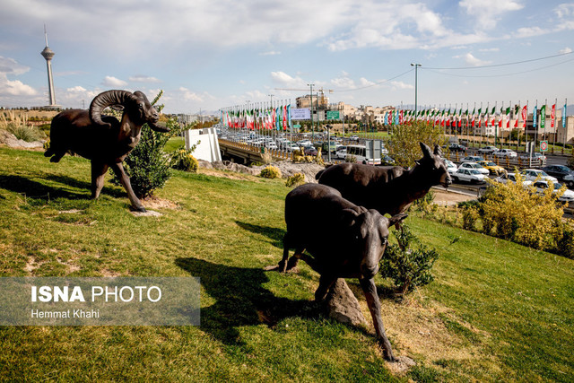 تأکید بر ایجاد المان‌های دایمی فاخر در مشهد
