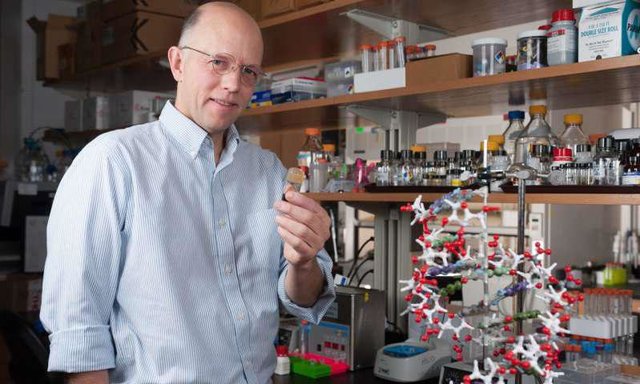 پی بردن به حیات آغازین با بررسی "سیارک‌ها"