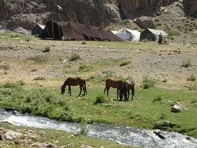 تشکیل هیئت اندیشه‌ورز عشایر