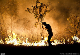 آتش سوزی در جنگل های گیلان ادامه دارد