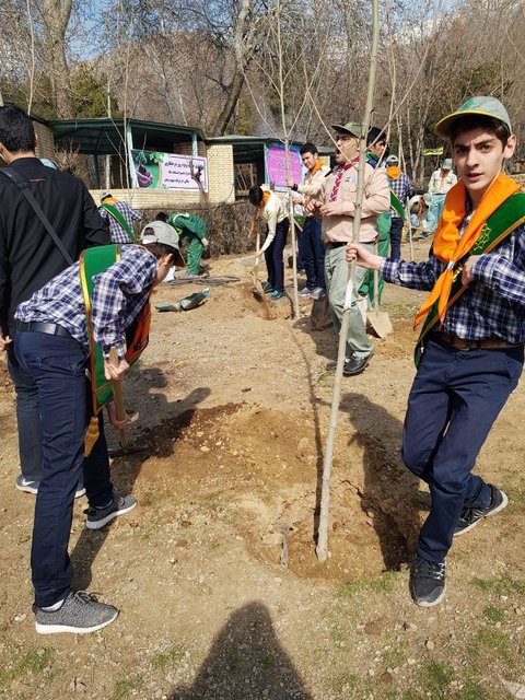 وزیر آموزش و پرورش درخت کاشت/مدیران مدارس به کاشت درخت در فضای مدارس اهتمام کنند
