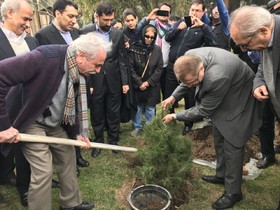 غرس درخت فرهنگ و هنر در خانه هنرمندان