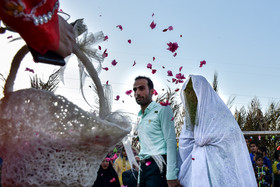 عروسی سنتی بوشهری در جشنواره بازي هاي بومي محلي  شهر «دالكى» 