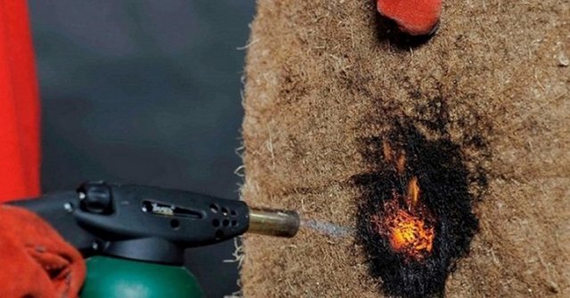 تولید عایق طبیعی که تا 1 ساعت برابر آتش دوام می‌آورد+تصاویر