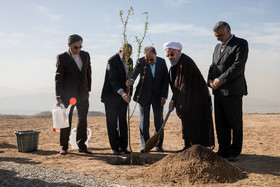 کاشت یک اصله نهال بادام توسط رییس جمهور 