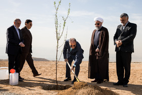 کاشت یک اصله نهال بادام توسط رییس جمهور 