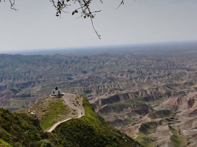 قبرستانی که سنگ‌قبر قربانی می‌گیرد + فیلم