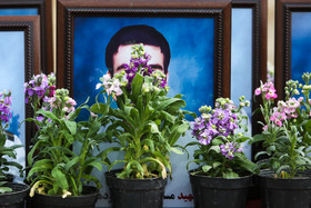 کاشت ۳۲ درخت به نام شهدای سانچی در پارک چیتگر