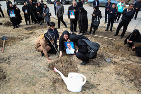 خانواده شهید ثامری در مراسم کاشت ۳۲ درخت به نام شهدای سانچی