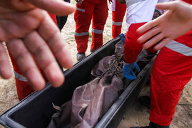 انتقال اجساد مسافران هواپیمای CL60 ترکیه