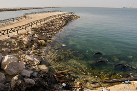 آلودگی سواحل سنگی شهر نخل تقی در استان بوشهر