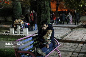 جوانی به همراه سگ خود، برای فرار از خطر زلزله احتمالی تهران، پارک هنرمندان پناه آورده است. 29 آذر لزله‌ای به بزرگی 5.2 ریشتر ملارد را لرزاند؛ لرزشی که پایتخت را هم تکان داد. اغلب پایتخت‌نشینان از بیمِ تکرار، ادامه یا تشدید زلزله به خیابان‌ها رفتند و خیلی‌ها شب را در چادر، خودرو، کنار خیابان یا در پارک‌ها سپری کردند.