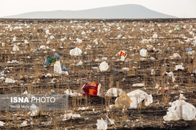 زباله‌ها در دشت اطراف شهر تاکستان در استان قزوین تلنبار و رهاسازی و اکثر آنها با وزش باد در سطح دشت و کوه‌های اطراف پخش می‌شوند. ایران یکی از ۱۰ کشور نخست دنیا در زمینه مصرف پلاستیک است. میزان پلاستیک تولیدی در ایران بیش از ۱۷ هزار تن در سال تخمین زده شده است. هر شهروند تهرانی بطور متوسط روزانه ۳ نایلون پلاستیکی وارد چرخه محیط زیست می‌کند. بقایای پلاستیک باعث مرگ بیش از یک میلیون پرنده و بیش از صدهزار پستاندار در سال می‌شود.