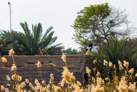 درس خواندن بچه روستایی در بالای منبع آب بر روی بام خانه!