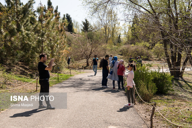 کسری 175 هکتاری فضای سبز یزدی‌ها