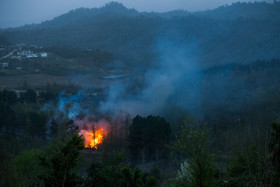 آتش سوزی در جنگل‌های لاهیجان
