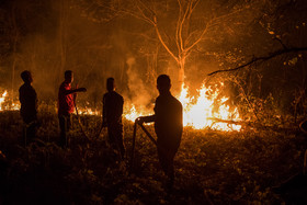لزوم حمایت دولت و تامین تجهیزات برای اطفای سریع آتش‌سوزی‌های جنگلی