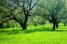 سفر به«چاروسا»ی کهگیلویه در ایام نوروز