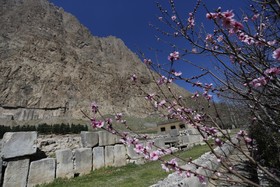 این کاخ، پایین کوه بیستون و مقابل فرهاد تراش جای دارد. سبک معماری و شواهد پیرامونی آن نشان می دهد که از آثار اواخر دوره ساسانی است که به علل نامعلوم، نیمه کاره رها شده است. روی بقایای این کاخ در دوره ایلخانان مغول، کاروانسرایی ساخته شده که بقایایایش همچنان باقی است.