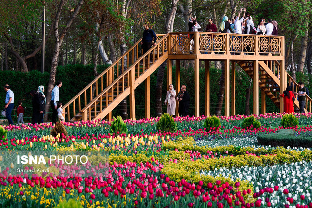 جشنواره لاله‌های کرج با تأخیر برگزار می‌شود