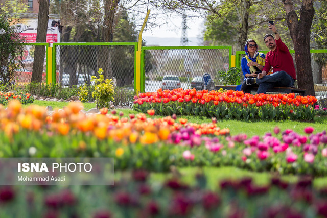 تمهیدات سازمان زیباسازی شهرداری تهران برای نوروز ۹۸